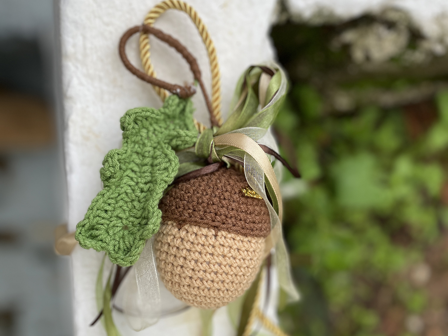 Βελανίδι με Φύλλο